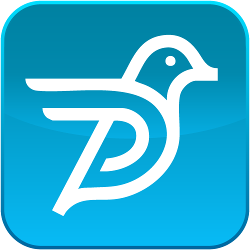 DP Tasks