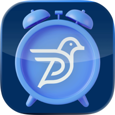DP Workforce